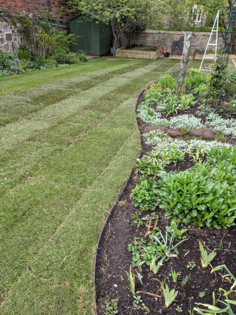 newly laid lawn Edinburgh after image