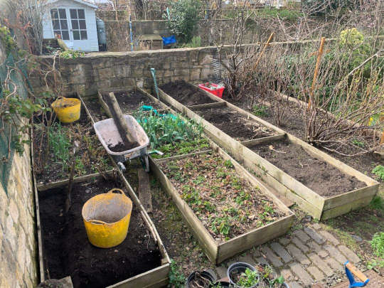 raised beds before image